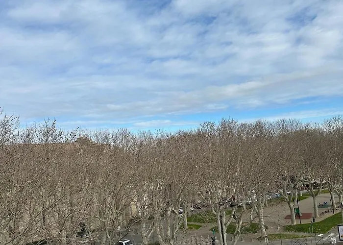 Le Boise - T2 Centre 7 Min Cite Medievale Apartment Carcassonne